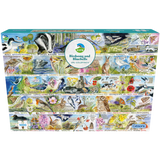 RSPB Birdsong & Bluebells