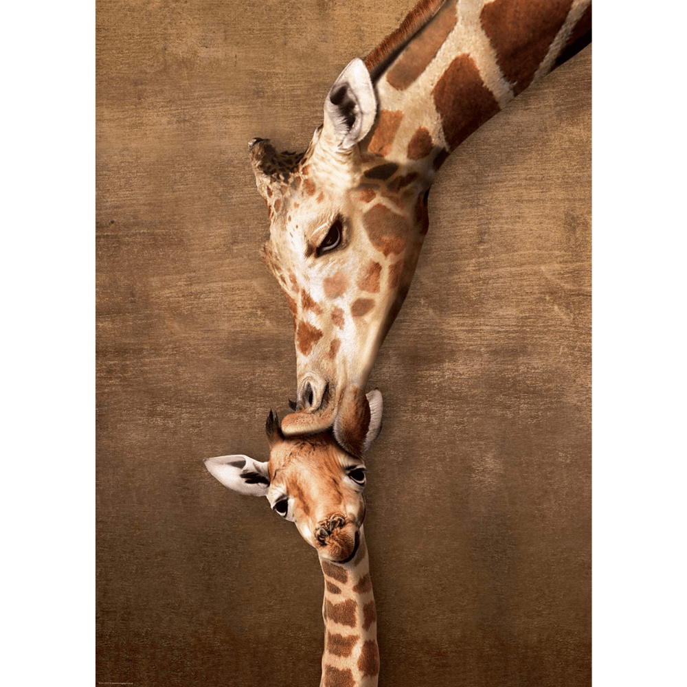 Giraffe Mother's Kiss (1000 Pieces)