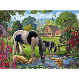 Hadlow Ponies