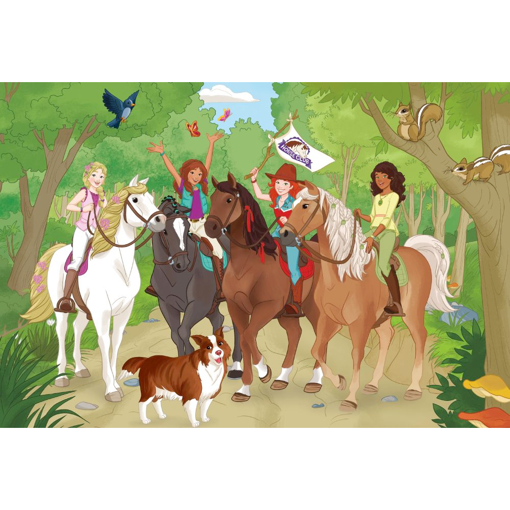 Horse Club - Puzzle Box