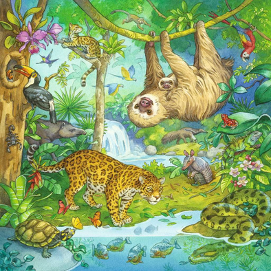 Jungle Fun (3x49 Pieces)