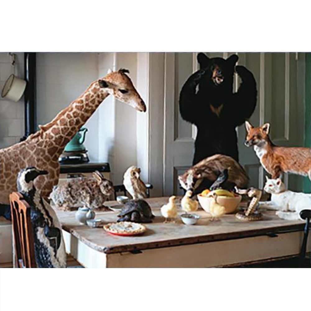 Kitchen Animals