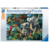 Koalas in a Tree