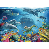Life Underwater