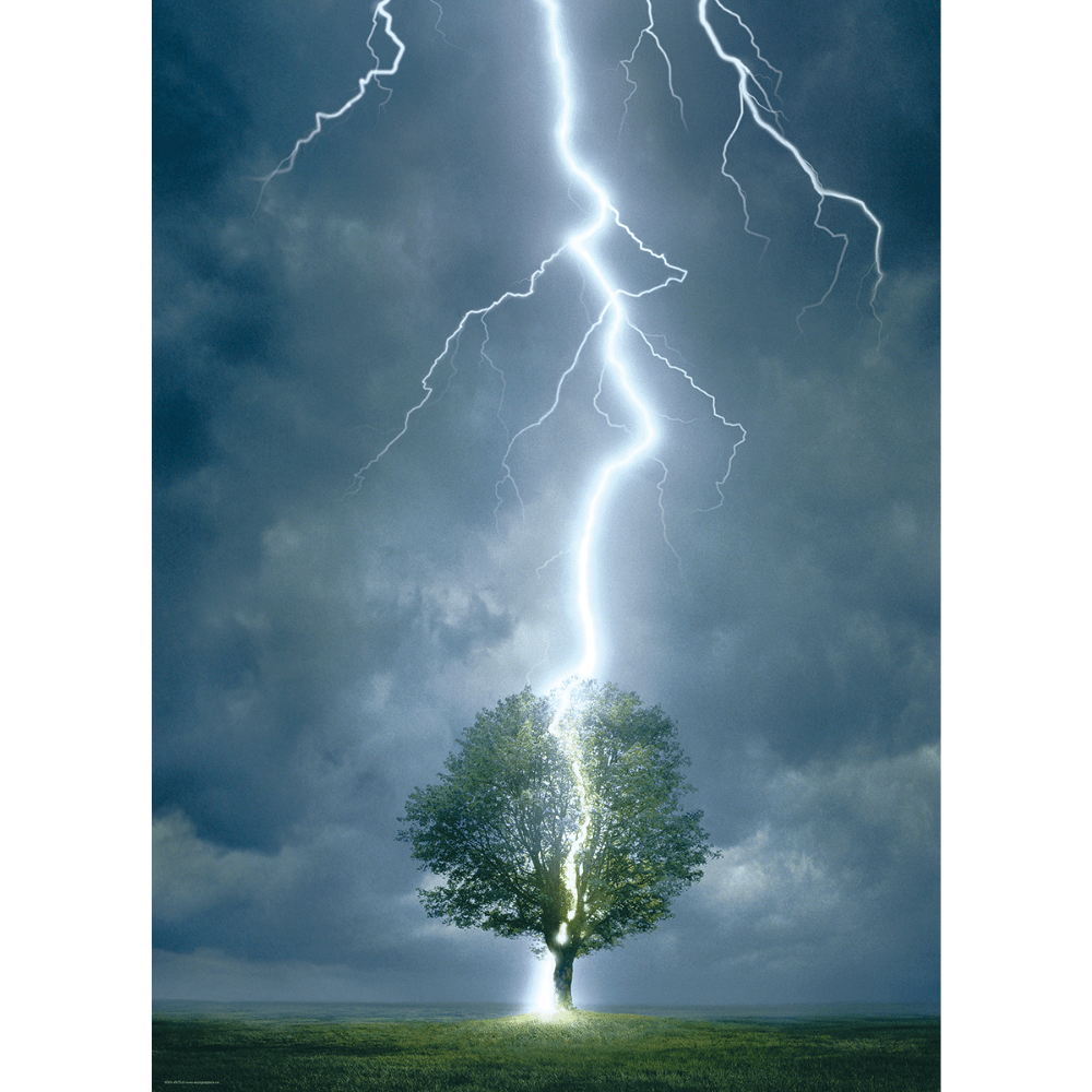 Lightning Striking Tree (1000 Pieces)