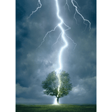 Lightning Striking Tree (1000 Pieces)
