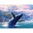 Leviathan of Glacier Bay - Thirsty Meeples