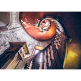 Lost Places: Oak Spiral