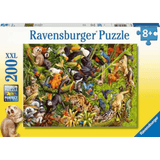 Marvellous Menagerie