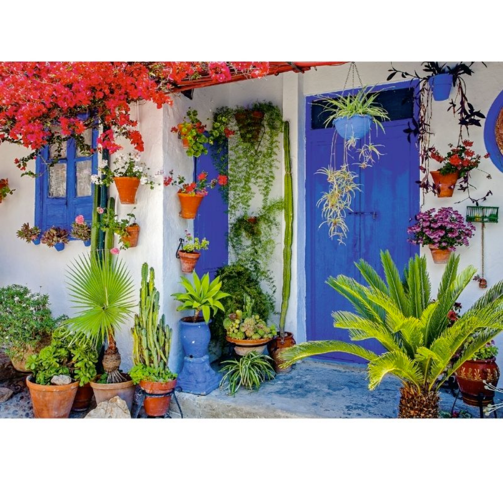 Mediterranean Door