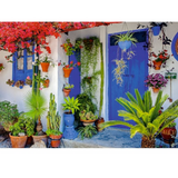 Mediterranean Door