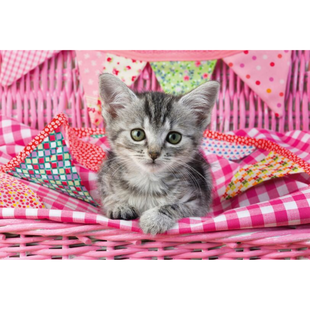 My Cutest Baby Animals