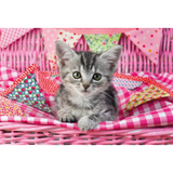 My Cutest Baby Animals