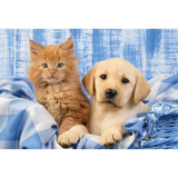 My Cutest Baby Animals