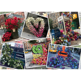 New York City Flower Flash