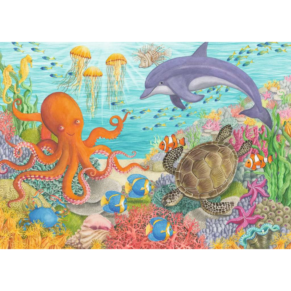Ocean Friends