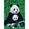 Panda & Baby (1000 Pieces) - Thirsty Meeples