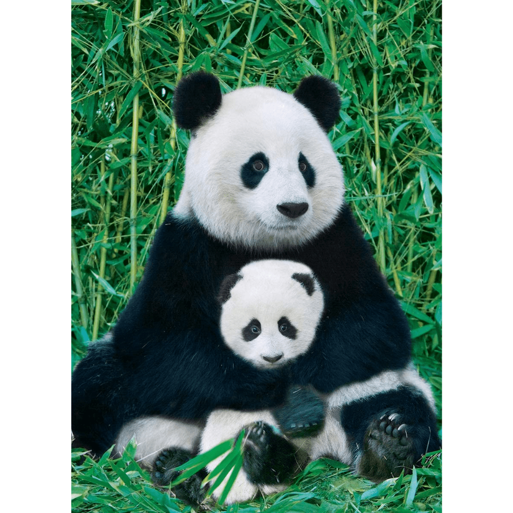 Panda & Baby (1000 Pieces) - Thirsty Meeples