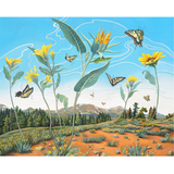 Phyllis Shafer: Swallowtail Dance