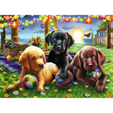 Puppy Picnic