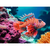 Red Lionfish