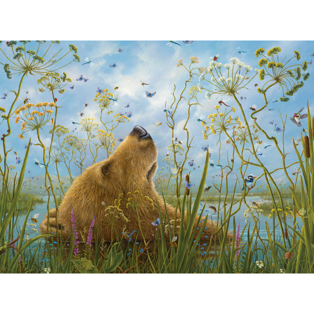 Robert Bissell: The Whole World - Thirsty Meeples