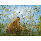 Robert Bissell: The Whole World - Thirsty Meeples