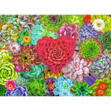 Succulent Love