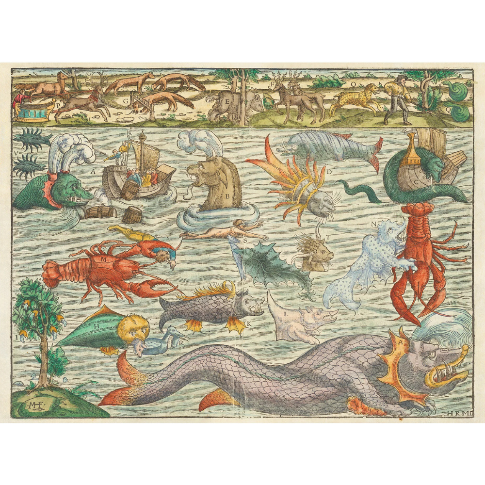 Sebastian Münster: Sea Monsters