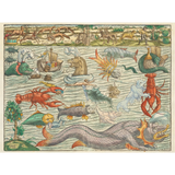 Sebastian Münster: Sea Monsters
