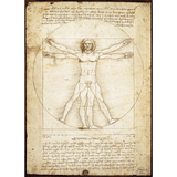 Leonardo Da Vinci: Schema delle Proporzioni (1000 Pieces)