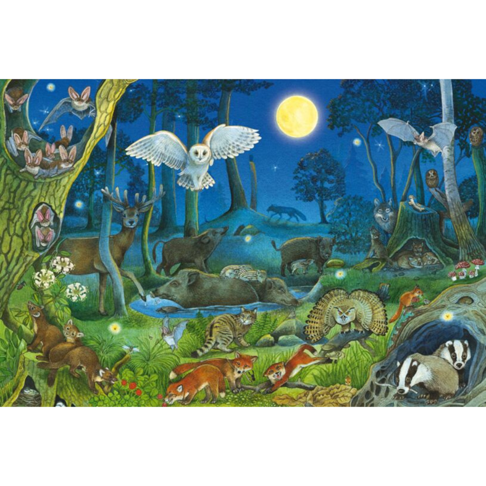 Forest Animals at Night