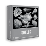 Shells