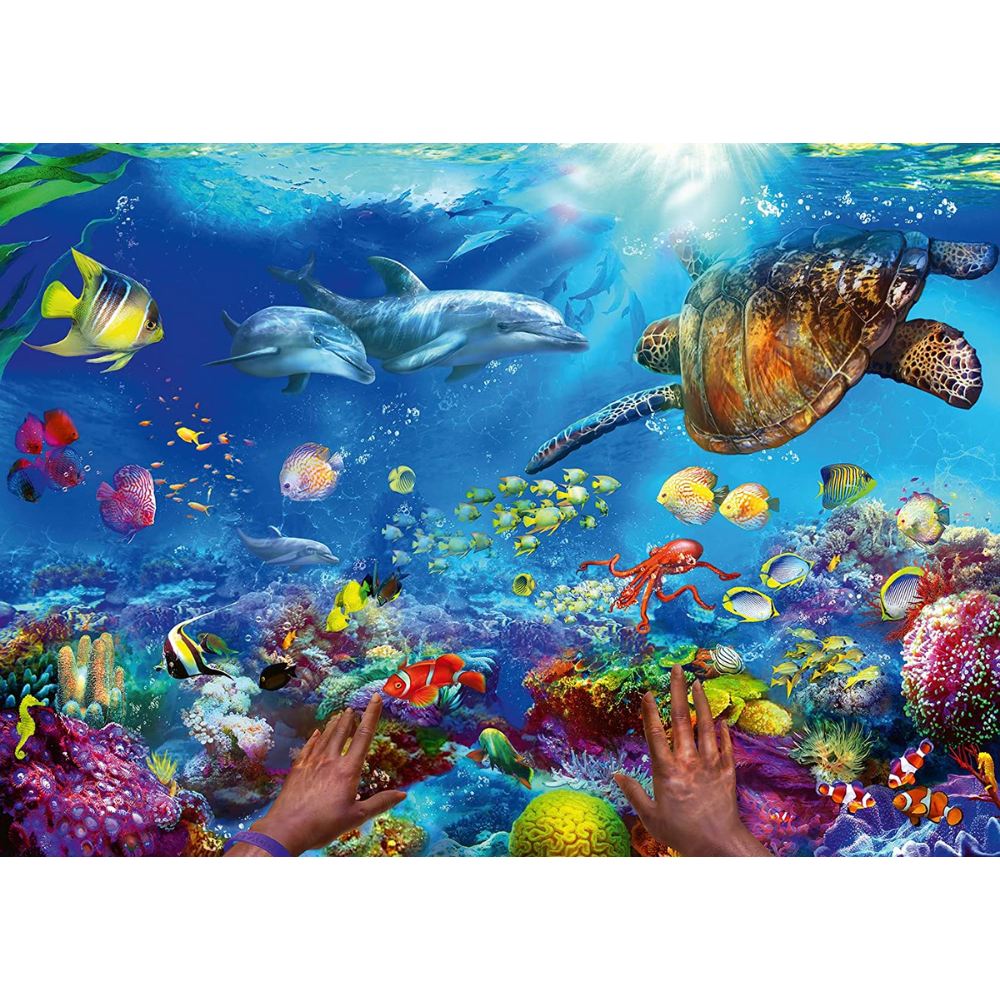 Snorkeling