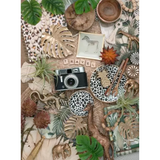 Still Life Vintage