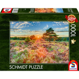 Sunset on the Heath