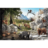 The Animals of the Forest