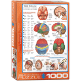 The Brain (1000 Pieces)