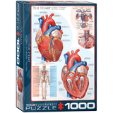 The Heart (1000 Pieces)