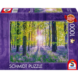 Tranquil Bluebell Woods