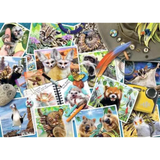 Traveller's Animal Journal