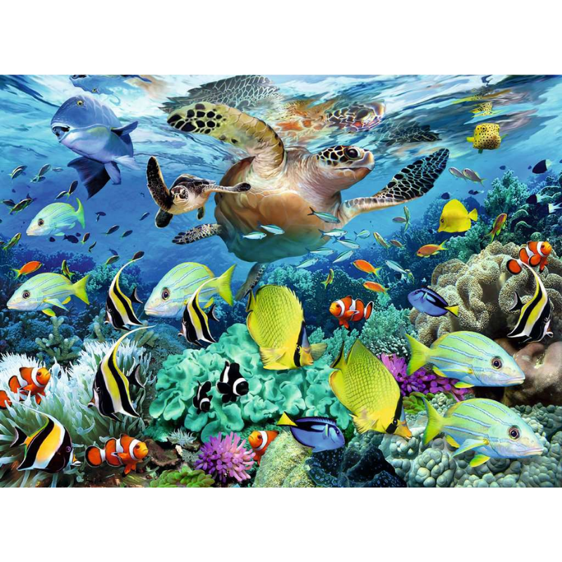 Underwater Paradise