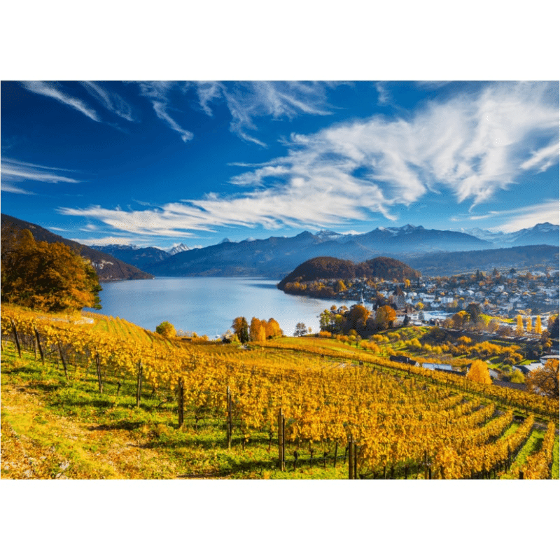 Vineyards