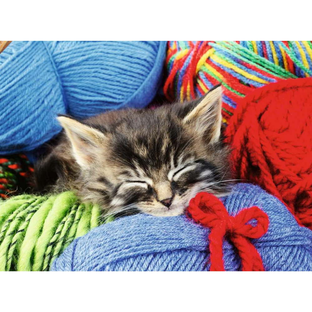 Wool Cat