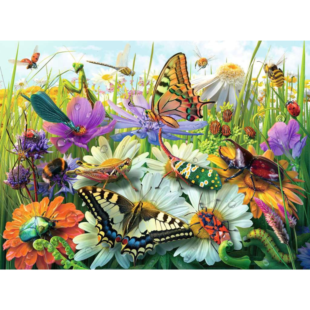 Wonderful World of Insects