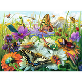Wonderful World of Insects