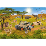 Wildlife: In The Savannah