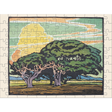 William S. Rice Double-Sided Jigsaw Puzzle Set - Thirsty Meeples