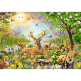 Wonderful Wilderness