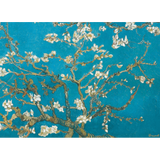 Van Gogh: Almond Blossom